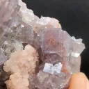 specimen video