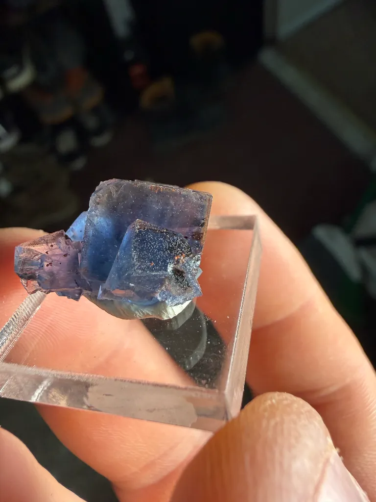 Fluorite from Canada, Newfoundland and Labrador, St. Lawrence image