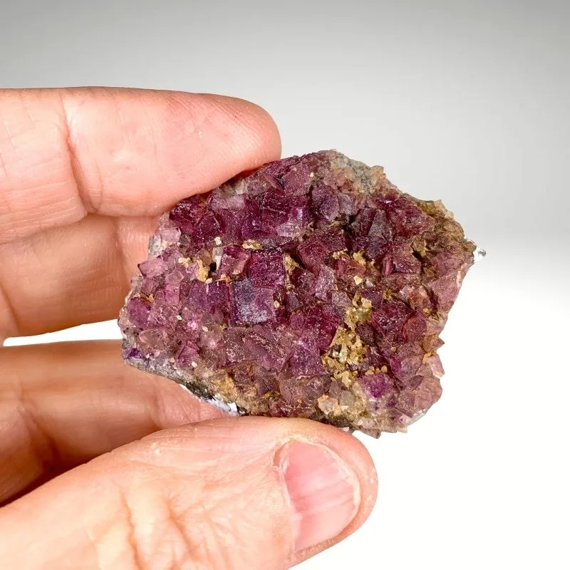 Fluorite from Canada, Ontario, Highway 17 roadcut - image 3
