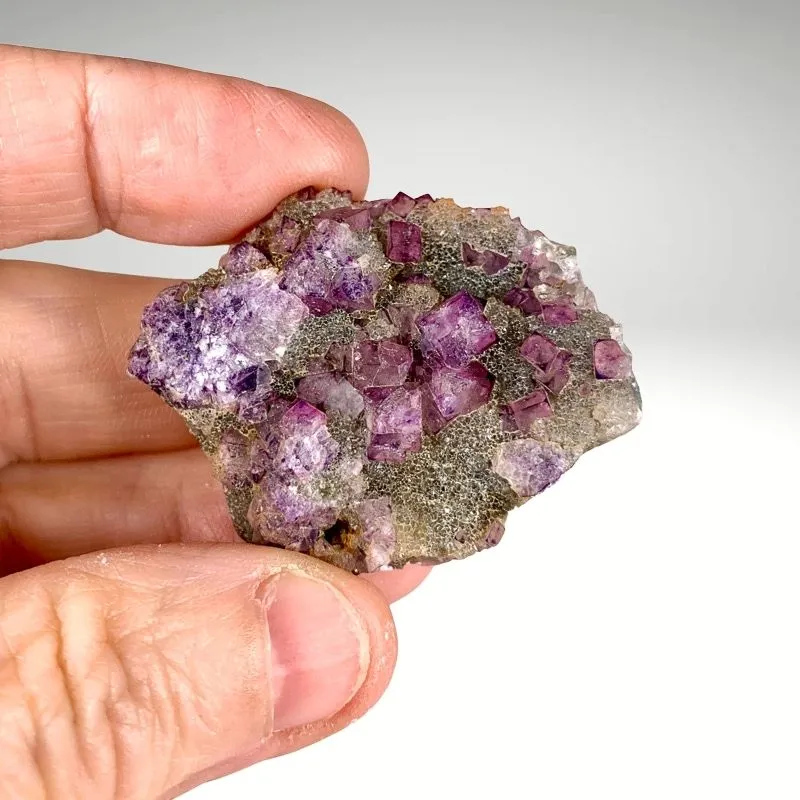 Fluorite from Canada, Ontario, Highway 17 roadcut image