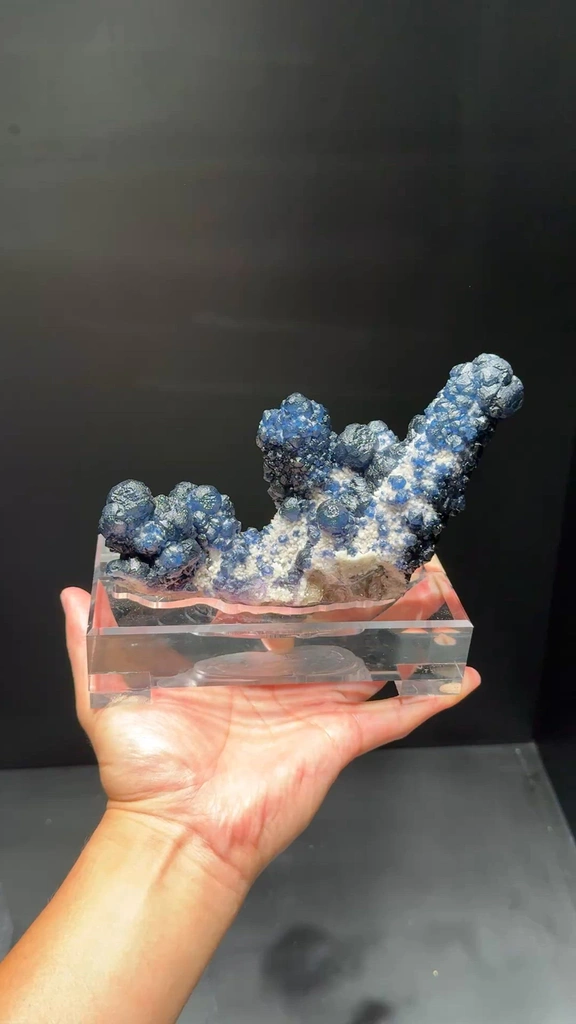 specimen video