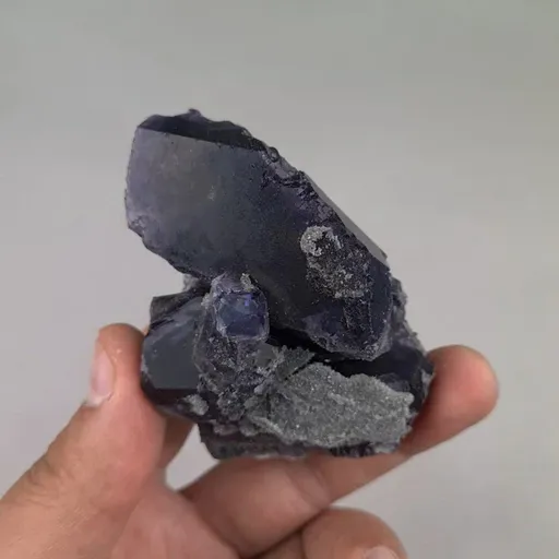 specimen video