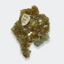 Fluorite from China, Hunan, Chenzhou, Linwu Co., Xianghualing Sn-polymetallic ore field, Xianghualin - image 4