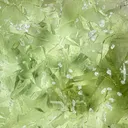 Fluorite from China, Hunan, Chenzhou, Linwu Co., Xianghualing Sn-polymetallic ore field, Xianghualin - image 2