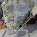 specimen video