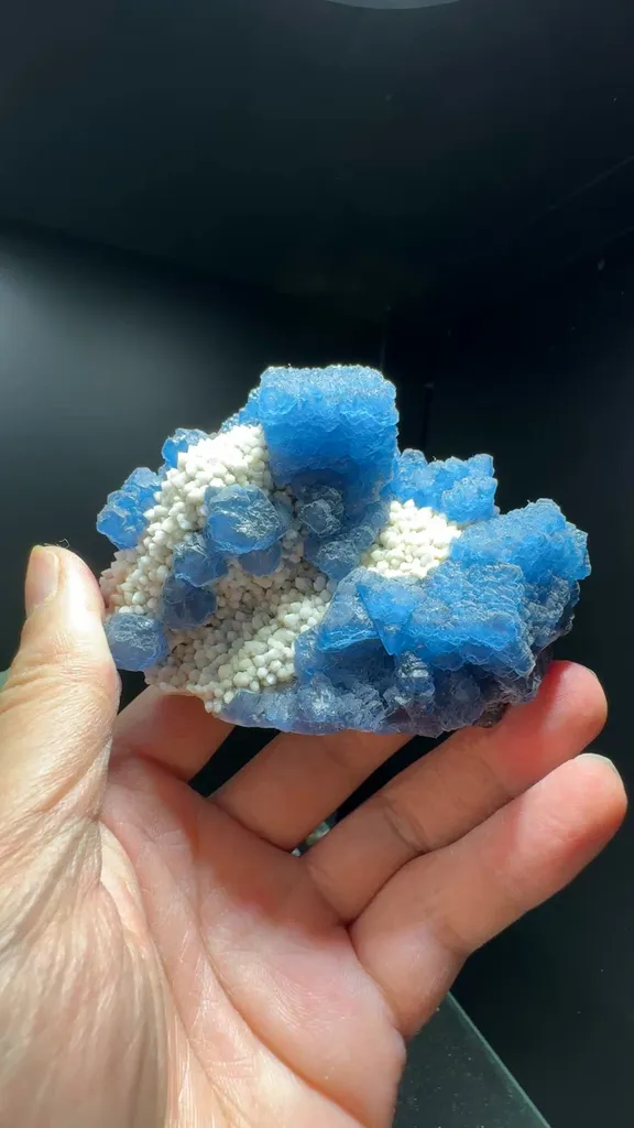 specimen video