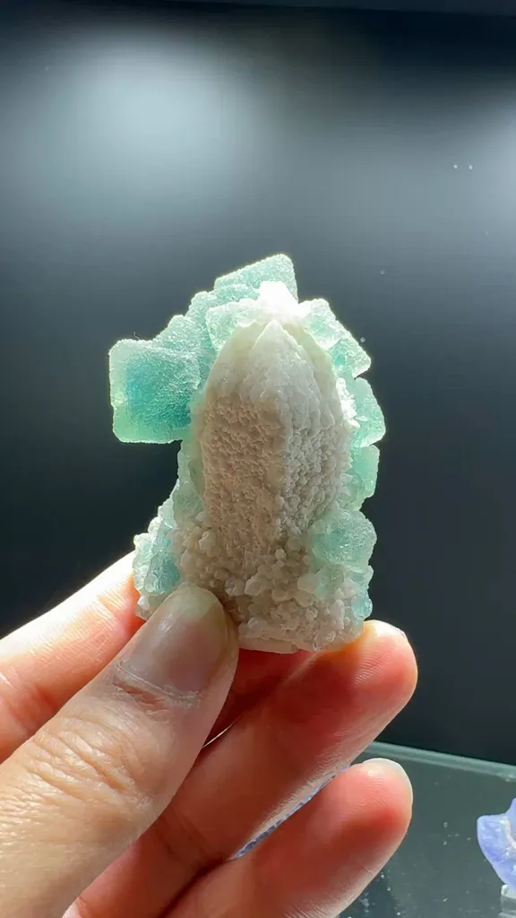 specimen video