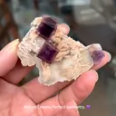 specimen video