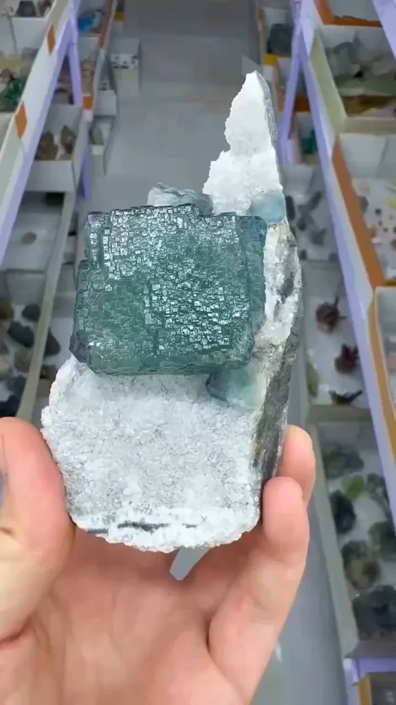 specimen video