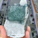 specimen video