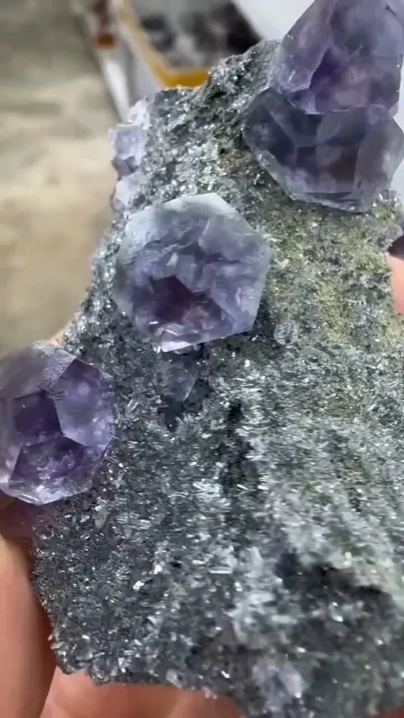 specimen video