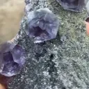 specimen video