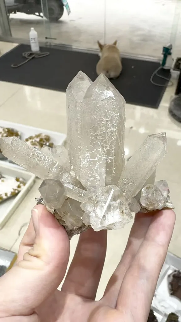 specimen video