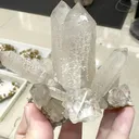 specimen video