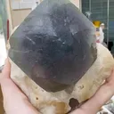 specimen video
