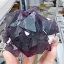 specimen video