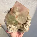 specimen video