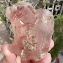 specimen video