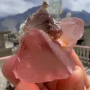 specimen video