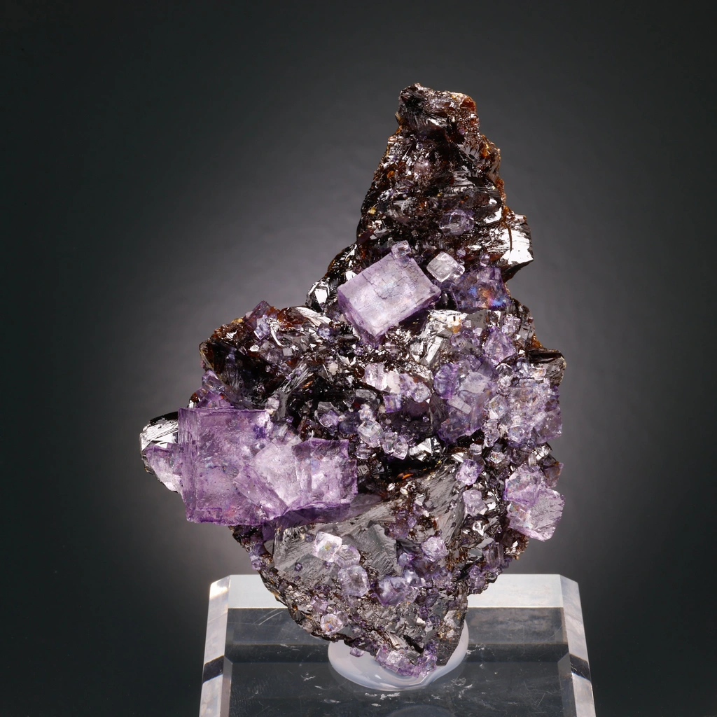 Fluorite from Elmwood Mine, Tennessee, USA image