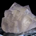 Fluorite from Elmwood Mine, Tennessee, USA - image 6