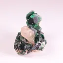 specimen video