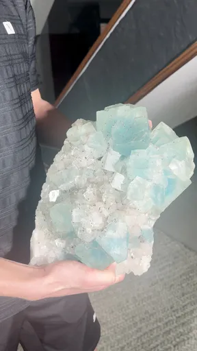 specimen video