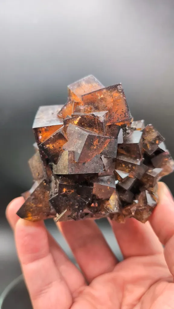 specimen video