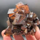 specimen video