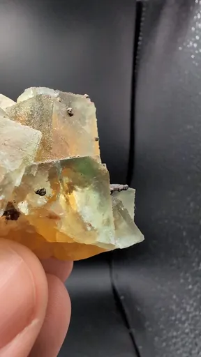specimen video