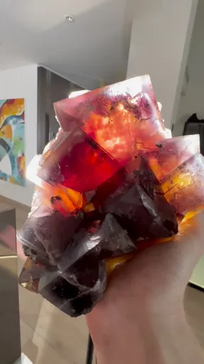 specimen video