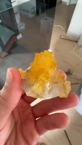 specimen video