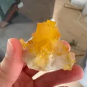specimen video