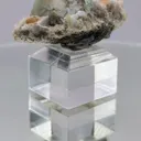 specimen video