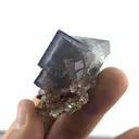 specimen video