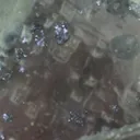 Fluorite from Greece, Attica, Kamariza Mines - image 3