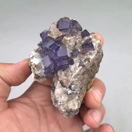 specimen video