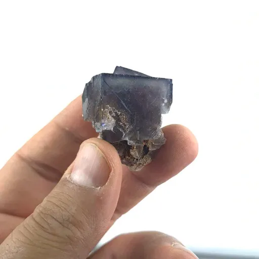 specimen video
