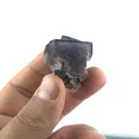 specimen video