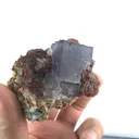 specimen video