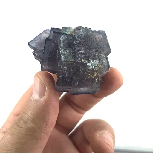 specimen video