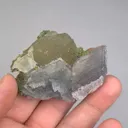specimen video