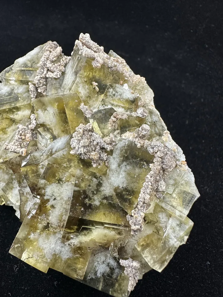 Fluorite from Honey Bear pocket, UK, England, County Durham, Rogerley Quarry, Diana Maria Mine - image 3
