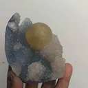 specimen video