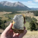 specimen video