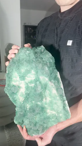 specimen video