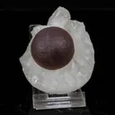 Fluorite from Madhya Pradesh, India - image 1