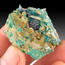 Fluorite from Mex-Tex Mine, Bingham, Hansonburg District, Socorro County, New Mexico, USA - image 1