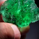 specimen video