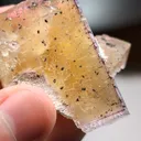 specimen video